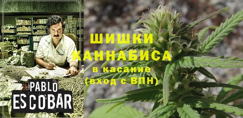 Каннабис White Widow  Барыш 